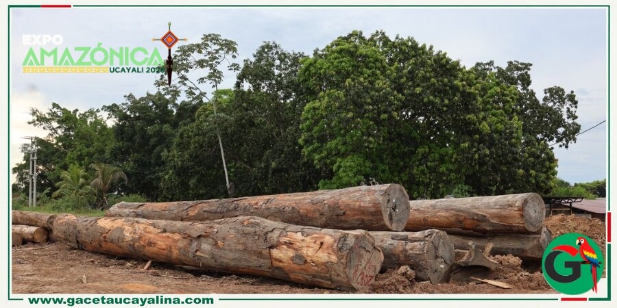Expo Amazónica 2026 mostrará viviendas temporales de madera para emergencias amazónicas