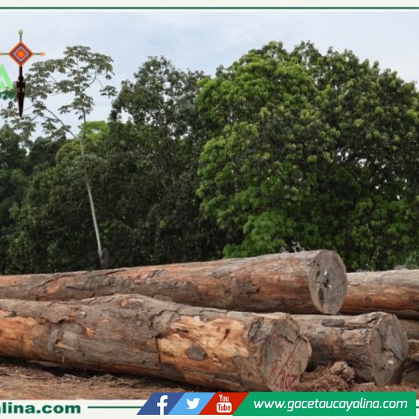 Expo Amazónica 2026 mostrará viviendas temporales de madera para emergencias amazónicas