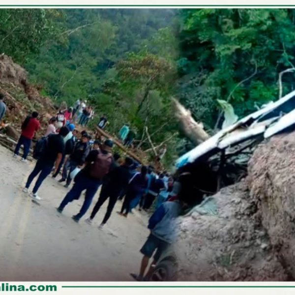 Huaico de gran magnitud interrumpe tránsito en la carretera Federico Basadre en Padre Abad
