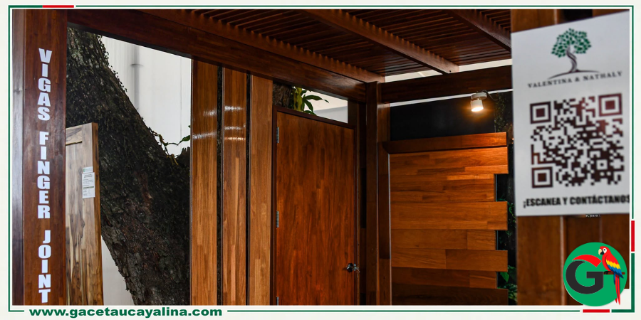 vivienda2.png
