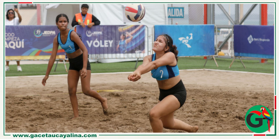 voley3.png