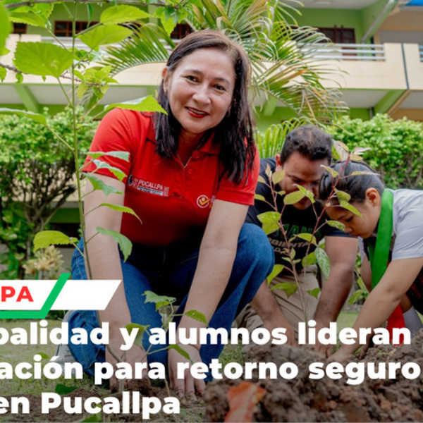 Arborización escolar impulsa inicio responsable del año en Pucallpa