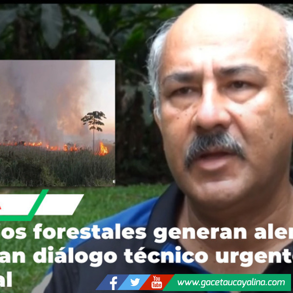 Expertos analizan incendios forestales que afectan gravemente la Amazonía peruana