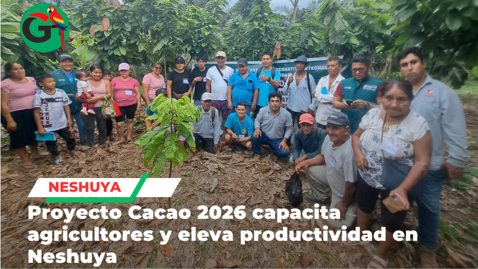 Escuelas de campo fortalecen producción cacaotera de familias en Neshuya