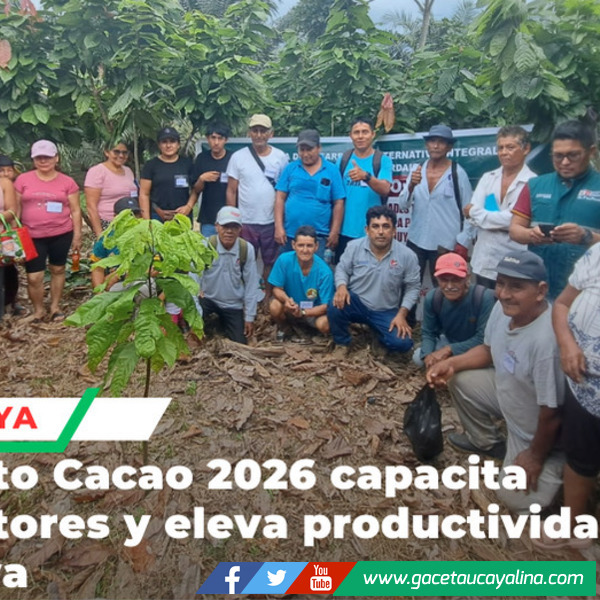 Escuelas de campo fortalecen producción cacaotera de familias en Neshuya