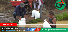 Asociación La Victoria inicia siembra de alevinos con Procompite en Pucallpa