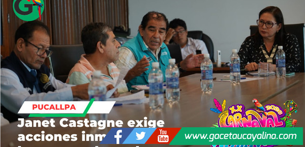 Alcaldesa Janet Castagne lidera solución a buzones colapsados