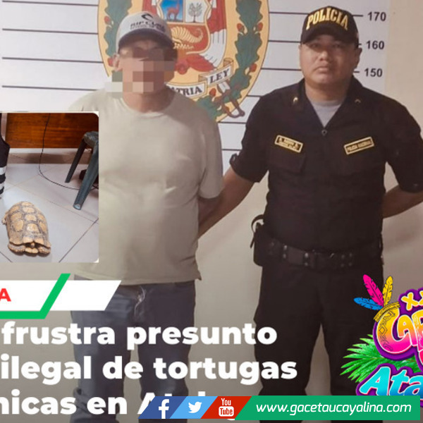 PNP detiene sujeto por tráfico ilegal de tortugas en Atalaya