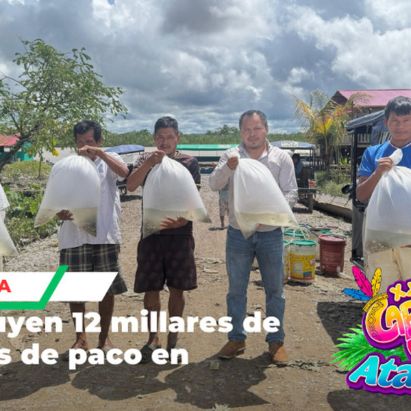 Entregan alevinos para fortalecer piscicultura en Atalaya