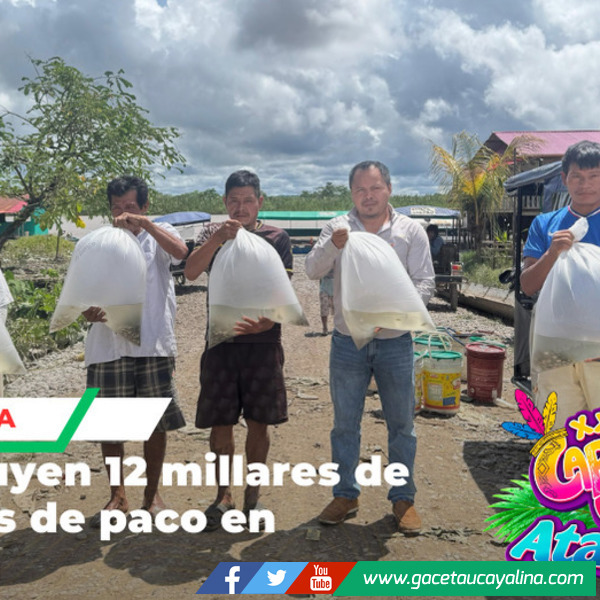 Entregan alevinos para fortalecer piscicultura en Atalaya