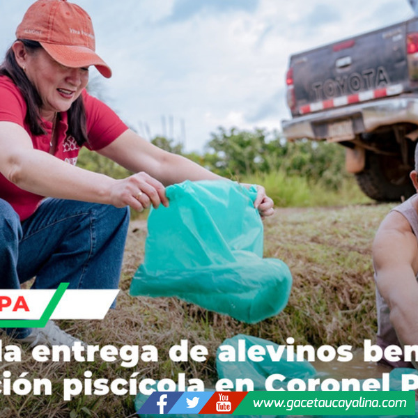 Municipalidad entrega alevinos a productores ganadores de Procompite en Pucallpa