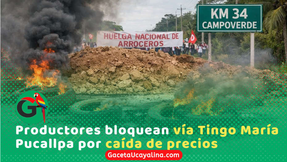 Arroceros bloquean carretera Tingo María–Pucallpa por crisis del precio