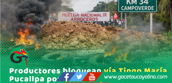 Arroceros bloquean carretera Tingo María–Pucallpa por crisis del precio
