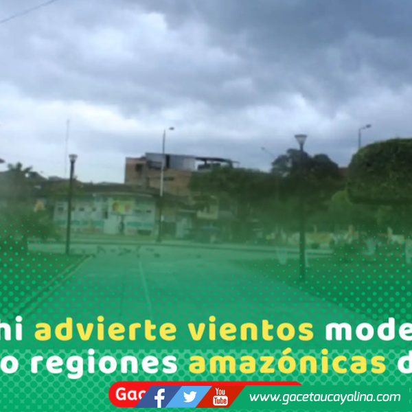 Senamhi alerta vientos fuertes en cinco regiones de la selva