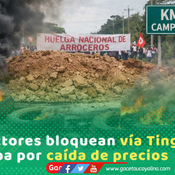 Arroceros bloquean carretera Tingo María–Pucallpa por crisis del precio