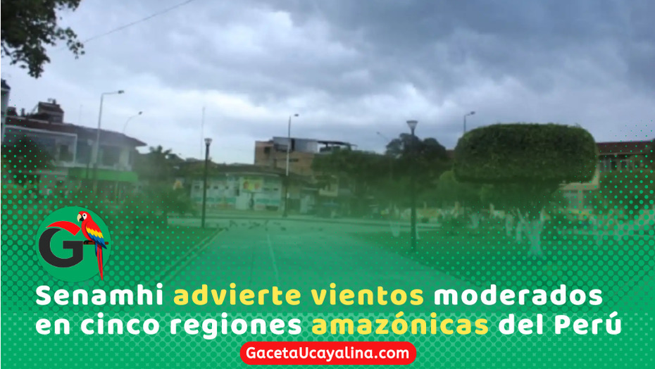 Senamhi alerta vientos fuertes en cinco regiones de la selva