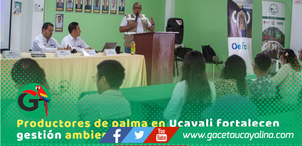 OEFA realiza taller de promoción de cumplimiento ambiental con productores de palma aceitera