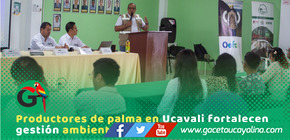 OEFA realiza taller de promoción de cumplimiento ambiental con productores de palma aceitera