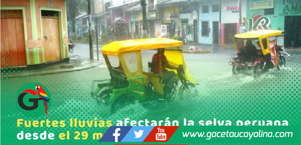 Senamhi advierte lluvias fuertes en la selva desde este domingo 29