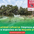 MPCP intensifica limpieza y recupera zonas urbanas en La Hoyada