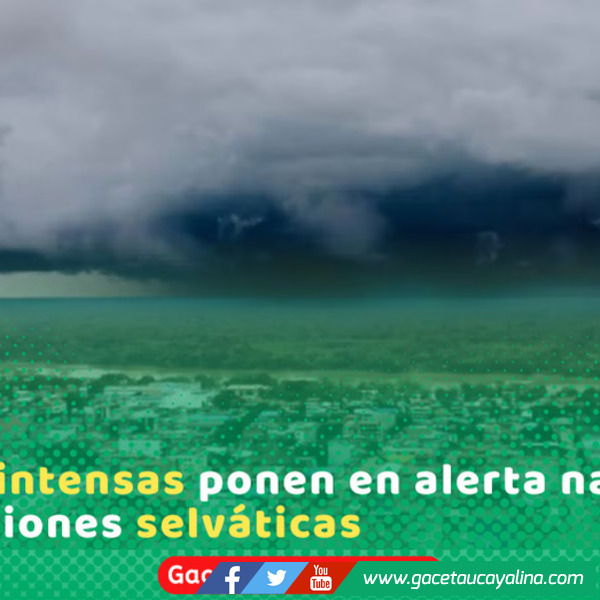 Senamhi activa alerta naranja por lluvias intensas en regiones de la selva