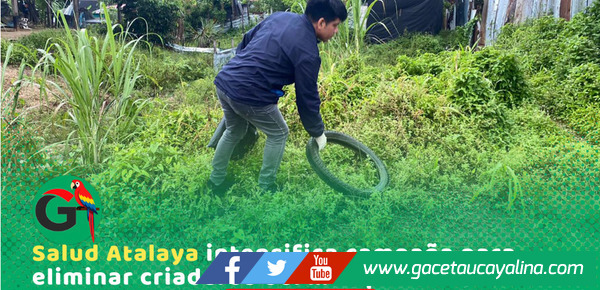 Ejecutan campaña para eliminar criaderos y frenar dengue en Atalaya