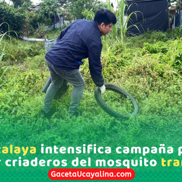 Ejecutan campaña para eliminar criaderos y frenar dengue en Atalaya