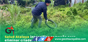 Ejecutan campaña para eliminar criaderos y frenar dengue en Atalaya