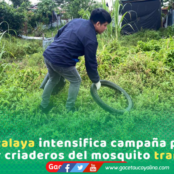 Ejecutan campaña para eliminar criaderos y frenar dengue en Atalaya