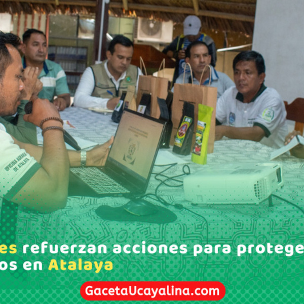 II Feria del Café en Oventeni impulsará producción cafetalera local