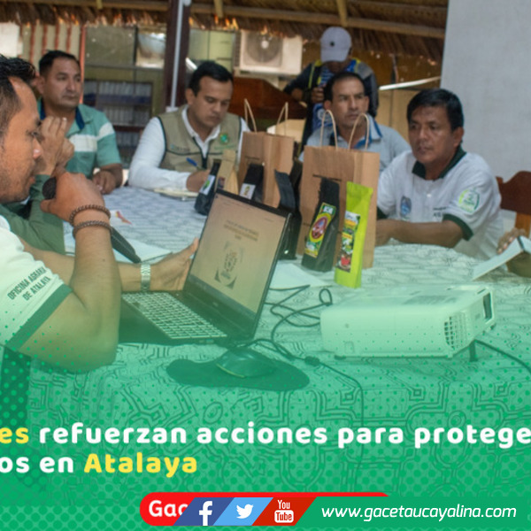 II Feria del Café en Oventeni impulsará producción cafetalera local