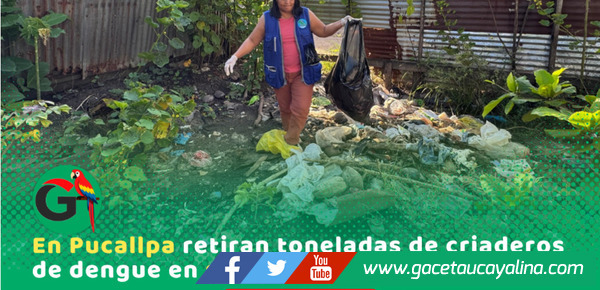 Retiran 9 toneladas de criaderos en Sector 2 de Mayo Pucallpa durante operativo