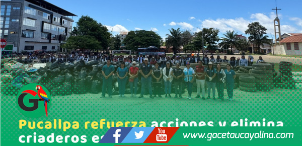 En Pucallpa eliminan 13 toneladas de criaderos en jornada intensiva