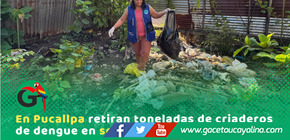 Retiran 9 toneladas de criaderos en Sector 2 de Mayo Pucallpa durante operativo