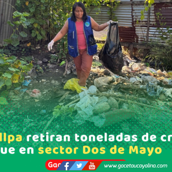 Retiran 9 toneladas de criaderos en Sector 2 de Mayo Pucallpa durante operativo