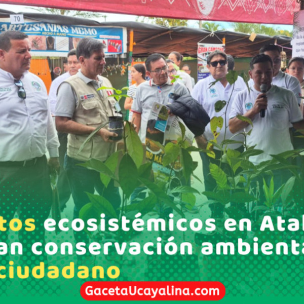 Atalaya presenta avances clave en proyectos de recuperación ecosistémica sostenible