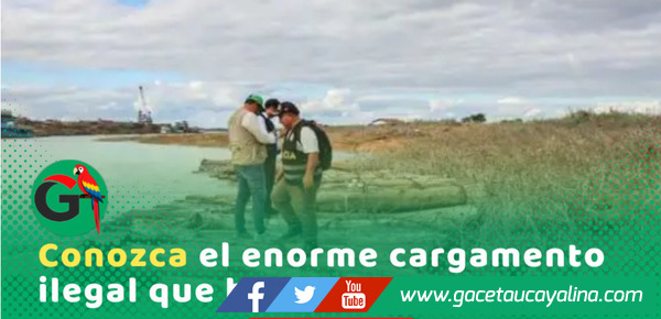 Incautan 40 mil pies de madera ilegal en Manantay