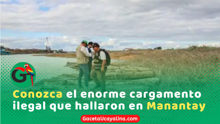 Incautan 40 mil pies de madera ilegal en Manantay