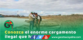 Incautan 40 mil pies de madera ilegal en Manantay