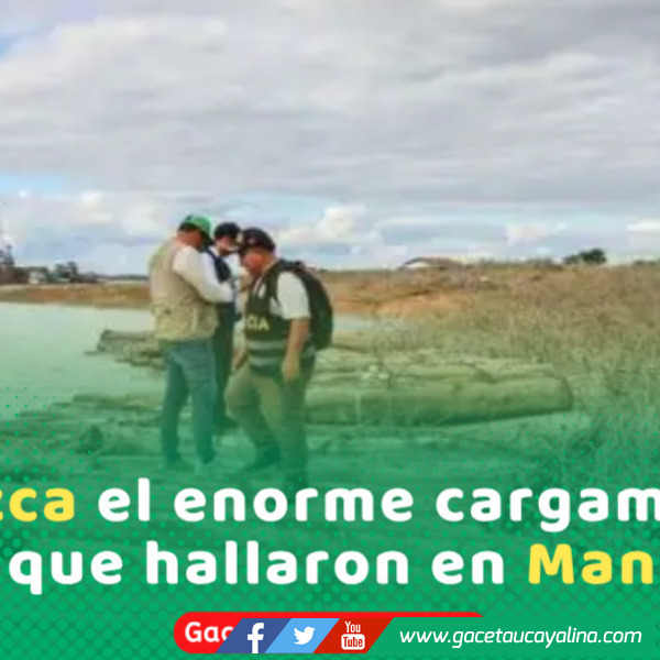 Incautan 40 mil pies de madera ilegal en Manantay