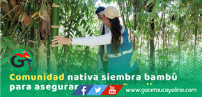 Comunidad Nativa siembra bambú para mejorar acceso y tratamiento del agua potable en Ucayali