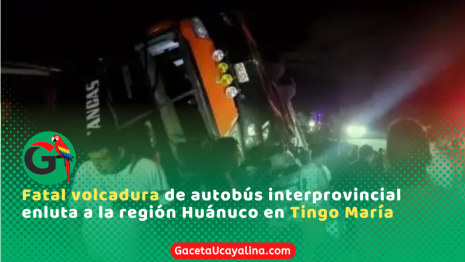 Despiste de bus en la Carretera Central deja 11 fallecidos en Tingo María