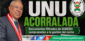 Documentos filtrados de SUNEDU acorralan la gestión de Edgardo Braul en Pucallpa