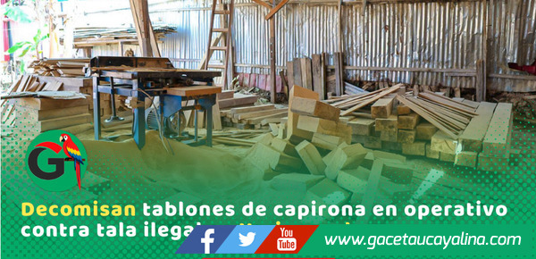 Autoridades intervienen aserradero clandestino con madera ilegal en Yarinacocha