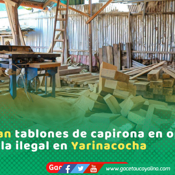 Autoridades intervienen aserradero clandestino con madera ilegal en Yarinacocha