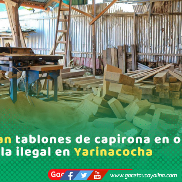 Autoridades intervienen aserradero clandestino con madera ilegal en Yarinacocha
