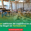 Autoridades intervienen aserradero clandestino con madera ilegal en Yarinacocha