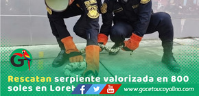 PNP rescata boa mantona en operativo contra tráfico ilegal