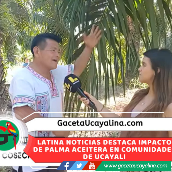 Medio de Comunicación Latina noticias destaca desarrollo de CC.NN. por la Palma Aceitera