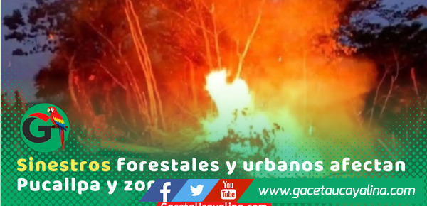 Tres incendios en Pucallpa encienden alarmas en autoridades regionales
